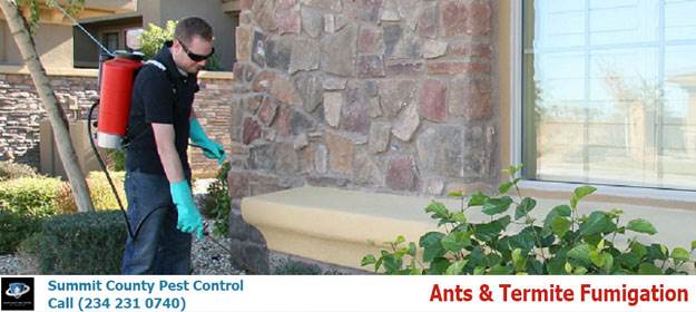 Ant and Termite Fumigation