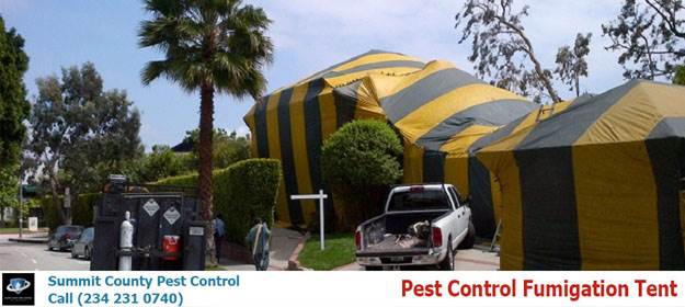 Pest Fumigation Tent